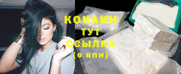 шишки Абинск