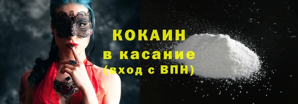 шишки Абинск
