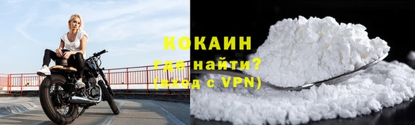 шишки Абинск