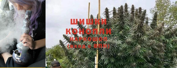 шишки Абинск