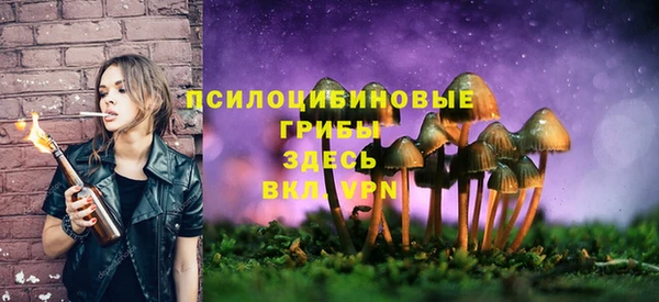 шишки Абинск
