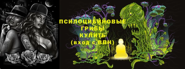 шишки Абинск