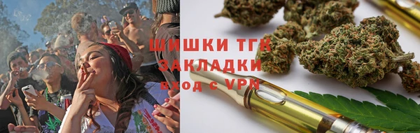 шишки Абинск