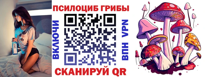 Галлюциногенные грибы Cubensis  Каменногорск 